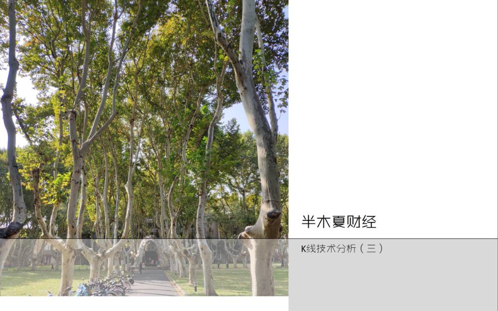 半木夏微博内容记录2018-2024更新图片版 半木夏微博内容记录2018-2024更新图片版