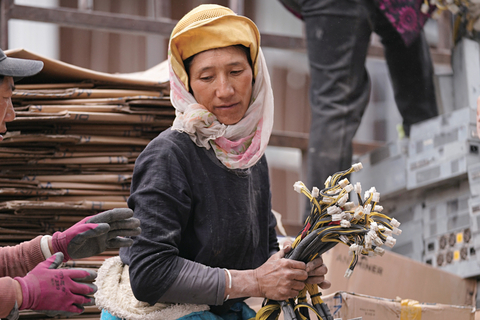 开源镰刀13-玩转撸毛党,空投收割设计指南