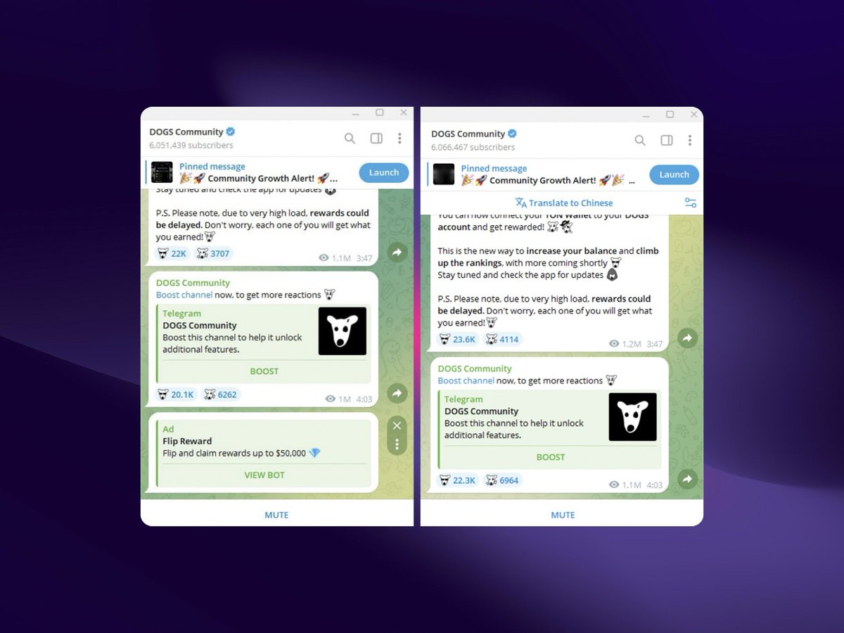 DOGS社区 TG小游戏广告骗局解析