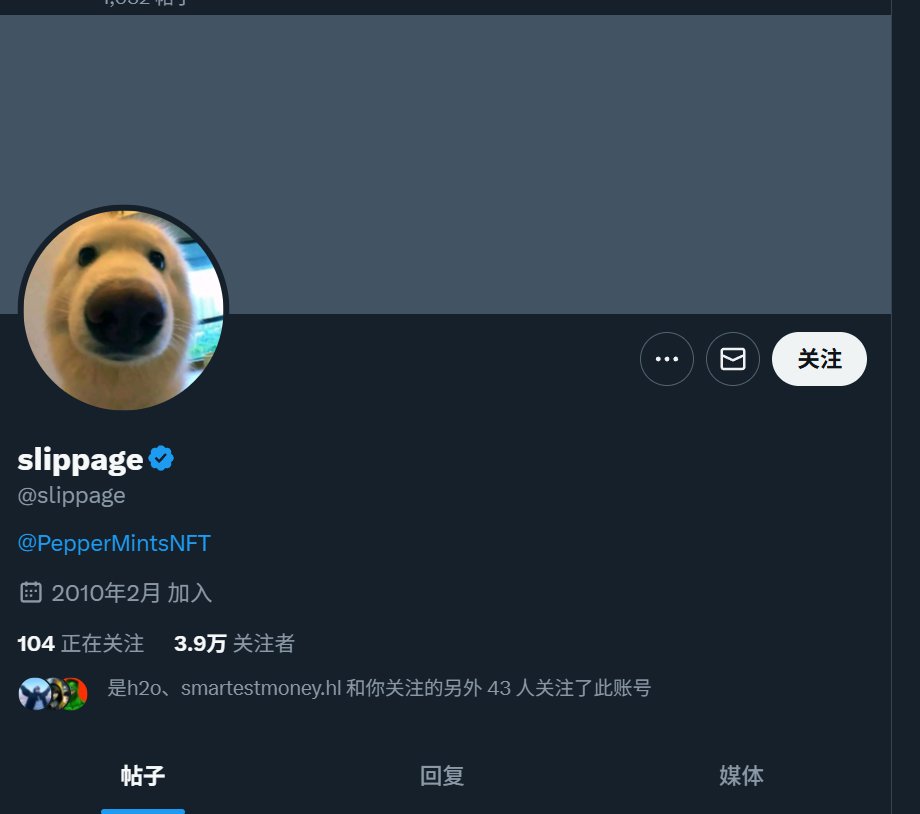 消失的项目回忆录