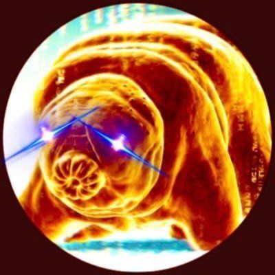 【Web3 英文奏折】01-26 2026